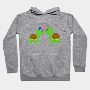 Turtle Love Girl + Boy Hoodie